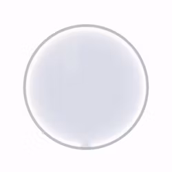 Dansani Moon spegel Ø75 cm Vit med ram, belysning och ljusstyrning