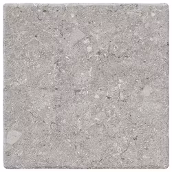 Klinker Vicentina XXS Tortora 22x22