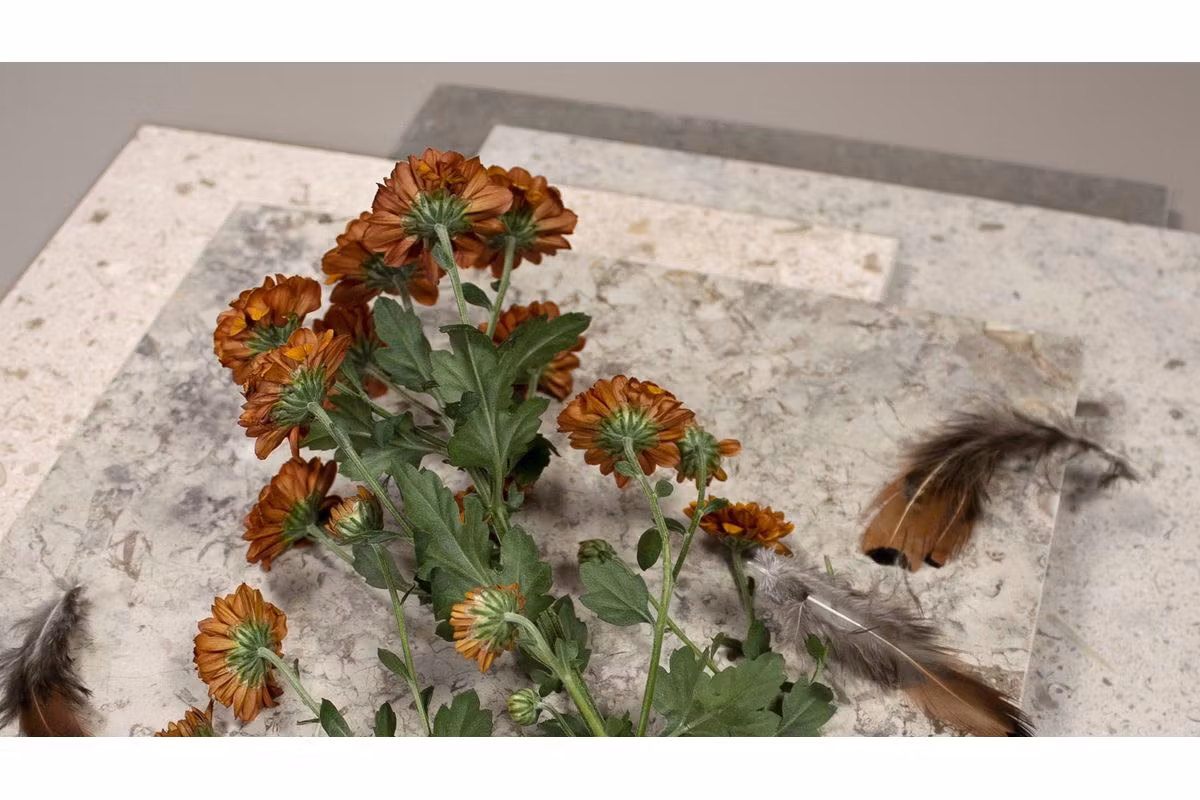 Kalksten Atlantic Grå Matt 30x Fallande Längd