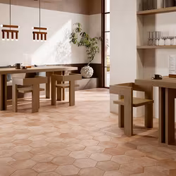 Klinker Petite Cotto Esagona Naturale 22x25