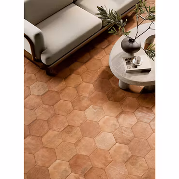 Klinker Petite Cotto Esagona Naturale 22x25