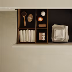 PLUS STORAGE INR Terra