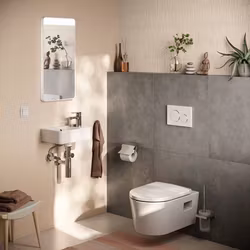 Vägghängd Toalettstol Hansgrohe EluPura Original S