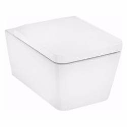 Vägghängd Toalettstol Hansgrohe EluPura Q