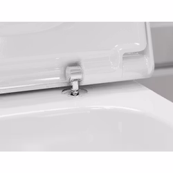 Vägghängd Toalettstol Hansgrohe EluPura Q