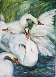 Svanar | 50 x 65 cm