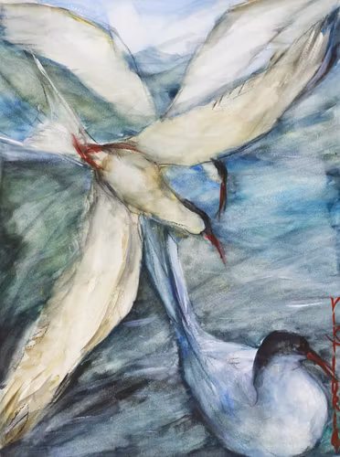 Tärnor | 50 x 65 cm