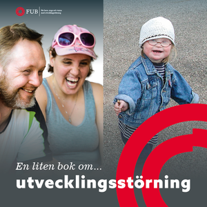 En liten bok om utvecklingsstörning (intellektuell funktionsnedsättning)