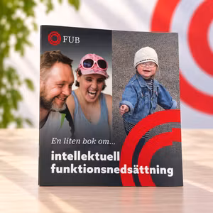 En liten bok om intellektuell funktionsnedsättning