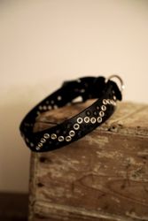 Tjirák - fast hundhalsband i läder