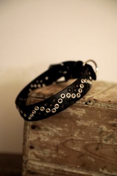 Tjirák - fast hundhalsband i läder