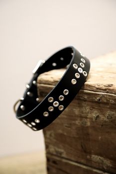 Tjuhkale - fast hundhalsband i läder