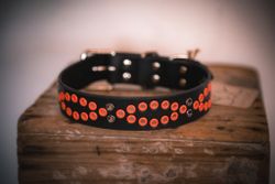 Áksek - fast hundhalsband i läder