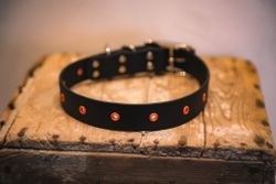 Utsi - fast halsband i Biothane®