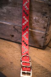 Sunna - fast hundhalsband i Biothane®
