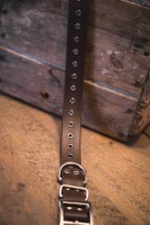Svonni - fast hundhalsband i Biothane®