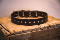 Svonni - fast hundhalsband i Biothane®