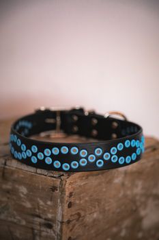 Áksek - fast hundhalsband i läder
