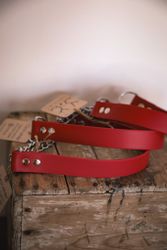 Hundhalsband halvstryp med kedja, i Biothane®