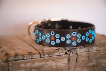 Noajdde - fast hundhalsband i läder