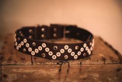 Gaskavárri - fast hundhalsband i läder