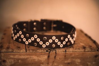 Gaskavárri - fast hundhalsband i läder