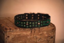 Ridoalgge - fast hundhalsband i läder