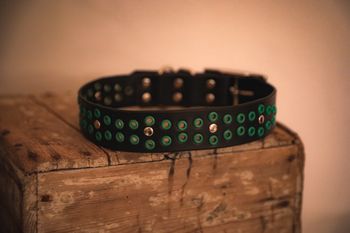 Ridoalgge - fast hundhalsband i läder