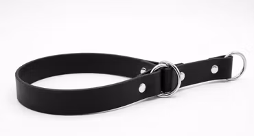 Hundhalsband halvstryp