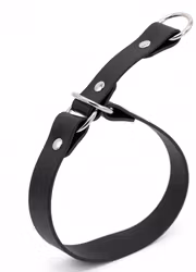 Hundhalsband halvstryp i Biothane®