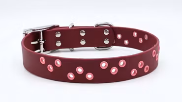 Nutti - fast halsband