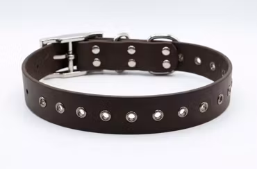 Svonni - fast halsband