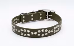 Labba - fast halsband i Biothane®