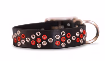 Daevnie - fast hundhalsband