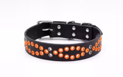 Áksek - fast hundhalsband