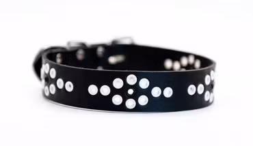 Fávrrat - fast hundhalsband