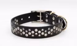 Tjirák - fast hundhalsband