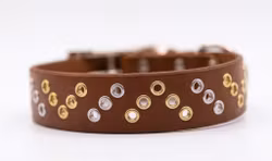 Tjievrra - fast hundhalsband