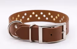 Tjievrra - fast hundhalsband