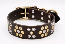 Rádjá - fast hundhalsband