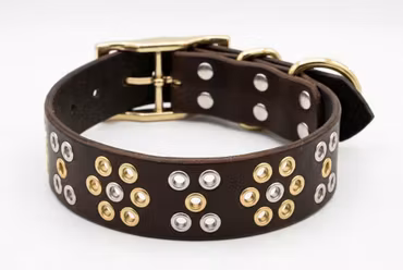 Rádjá - fast hundhalsband