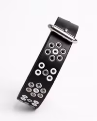 Rádjá - fast hundhalsband