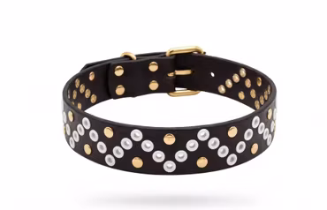 Gaskavárri - fast hundhalsband