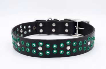 Ridoalgge - fast hundhalsband