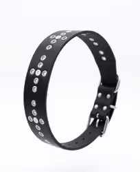 Tjuhkale - fast hundhalsband