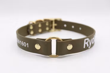 Fast hundhalsband med ring på mitten