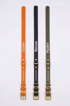 Fast hundhalsband med ring på mitten