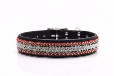 Vaajma - fast hundhalsband