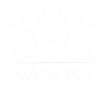 Nanoks