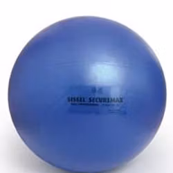 SISSEL® Securemax Professional Boll